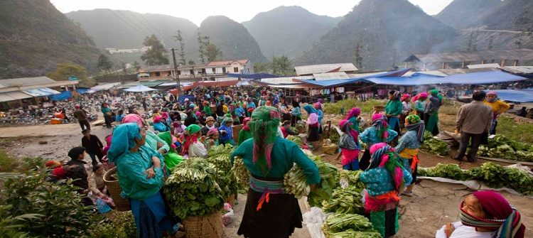 meo vac ha giang