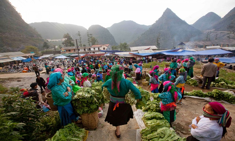 meo vac ha giang