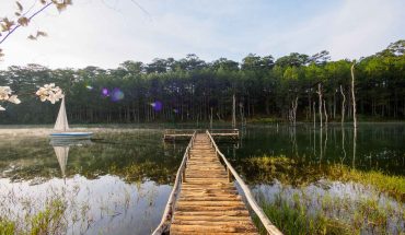 Nha Trang Beach Resort + Dalat Flower City ~ 4 Days 3 Nights