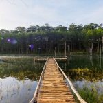 dalat guide jbatravelbox