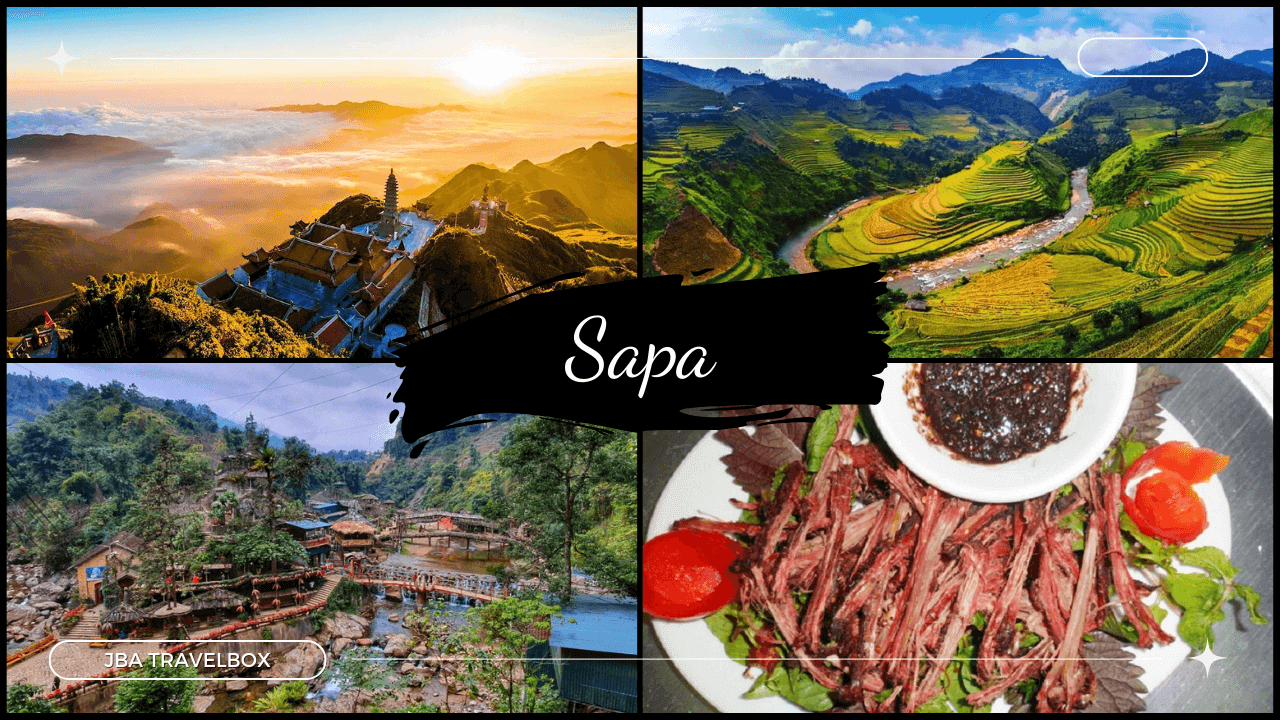 Sapa